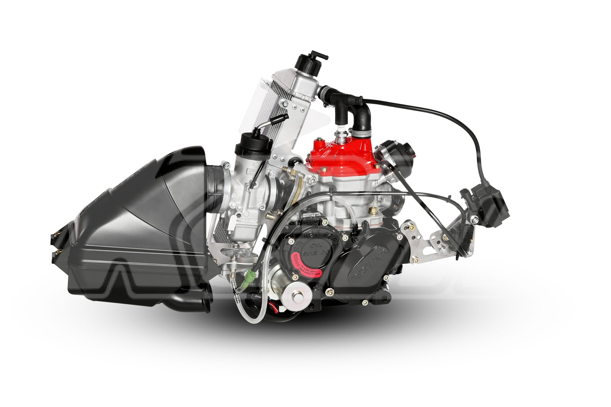 Moteur Rotax 125 MAX EVO (Challenge Rotax) - Action karting - Moteurs