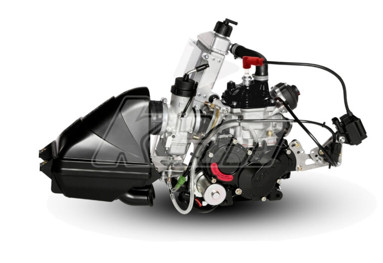 MOTEUR ROTAX MAX EVO COMPLET KCM vente de karts et pièces détachées